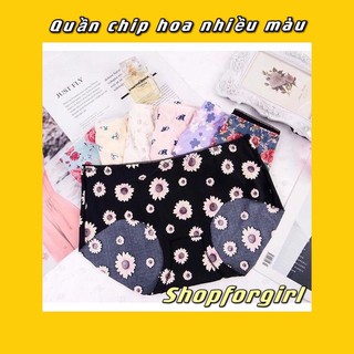 Combo 10 quần chip điều hòa nhiều họa tiết ( giao ngẫu nhiên) - Shopforgirl