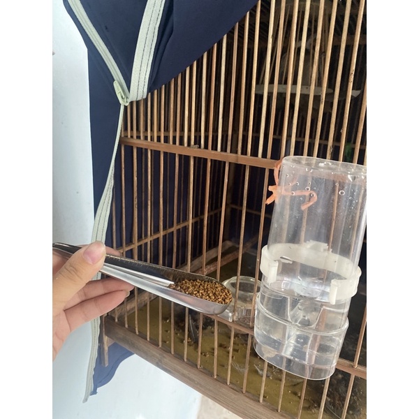 Muỗng xúc cám cho chim muỗng xúc inox