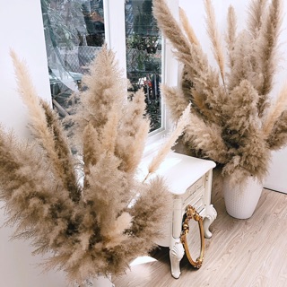 Cành lau giả