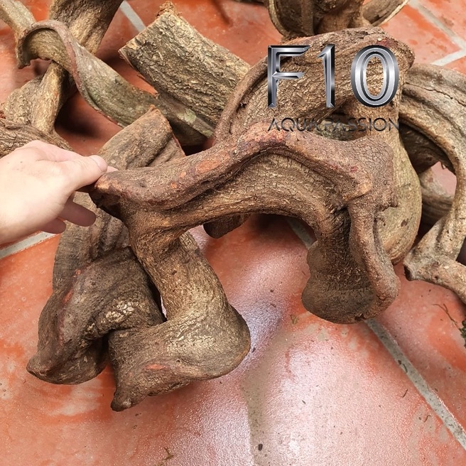 Lũa Xoắn 3KG - Lũa Chuyên Setup Bể Thuỷ Sinh rất đẹp