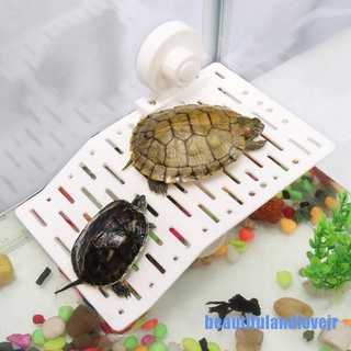 Bệ tắm nắng cho rùa / bò sát nuôi 0609