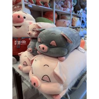 [RẺ VÔ ĐICH] HEO LIM DIM KHỔ 1M2