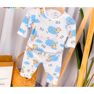 Bộ tay dài size đại 15 - 25kg