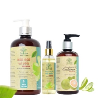 Bộ 3 Dầu Gội + Xả + Xịt Hoàn Hảo Cho Tóc – AmeGreen