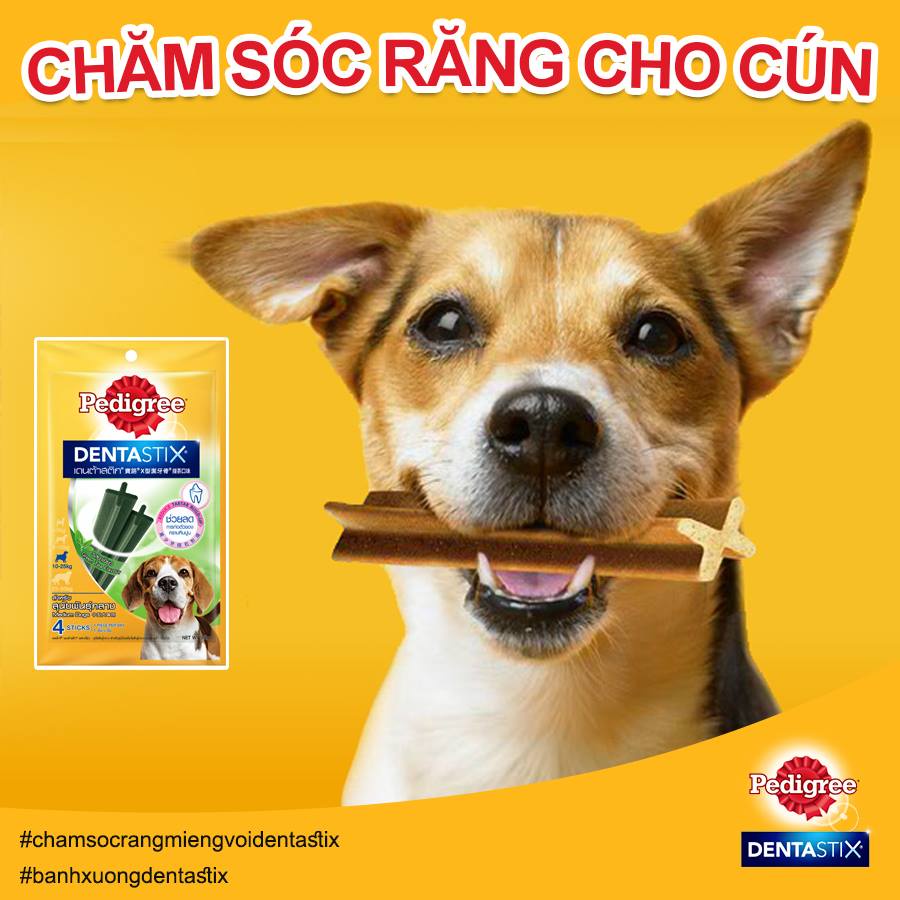 Bánh xương gặm cho chó lớn Pedigree Dentastix 75g 98g, snack sạch răng vị gà Con Mèo Xiêm