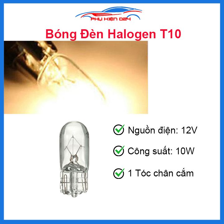 Bóng đèn Halogen T10 điện áp 12V công suất 10W 1 tóc chân cắm