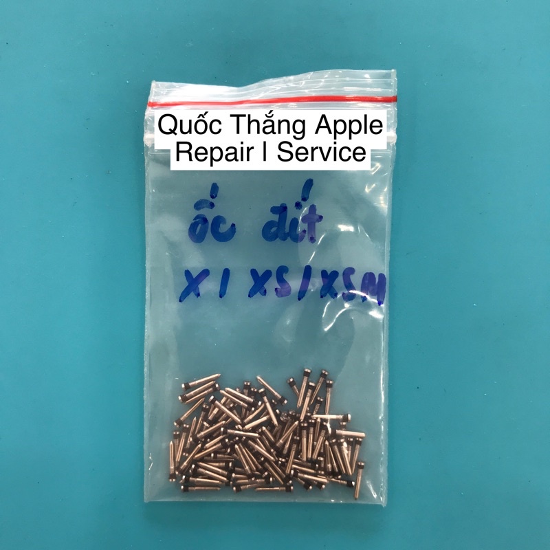 100 con ốc đít iphone X/XS/XSM