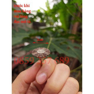 bàn chải đuôi ngựa