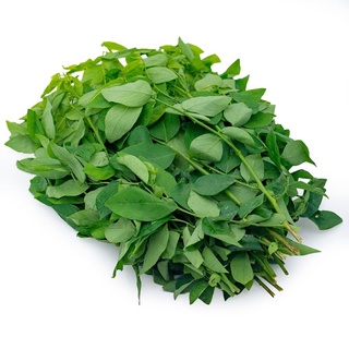 Hạt giống rau ngót ngon ngọt dễ trồng gói 1gr