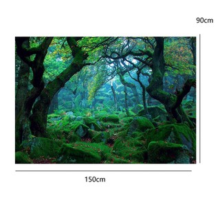 Backdrop Cho Studio Loại Cây Gỗ Rừng Rơi 5X3Ft