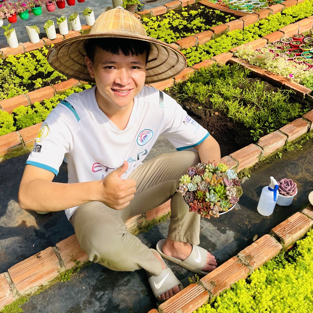 Sen đá mini Đà Lạt 20 cây các loại, cây cảnh trang trí nhà cửa Toro garden