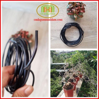 Kẽm uốn cây bonsai 5m ( loại 1 li)