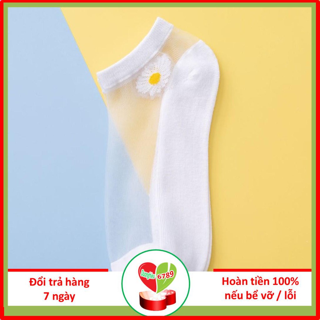 set 10 đôi Tất Vớ pha lê nữ hottrend hoa cúc. Vớ hàn quốc lưới thủy tinh đỏ lụa mùa hè mỏng lưới ren trong suốt - Duongh