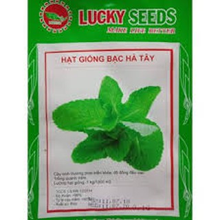 HẠT GIỐNG BẠC HÀ TÂY (0.1G)