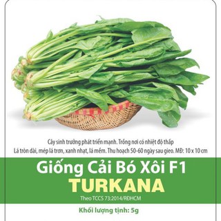 [ Rạng Đông] Hạt giống Cải Bó Xôi ( Rau chân Vịt, Bina ) Chịu Nhiệt Turkana Gói 5g
