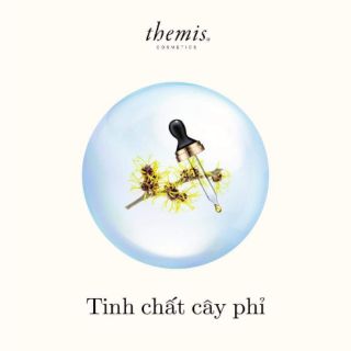 Sữa rửa mặt tinh chất tràm trà Themis