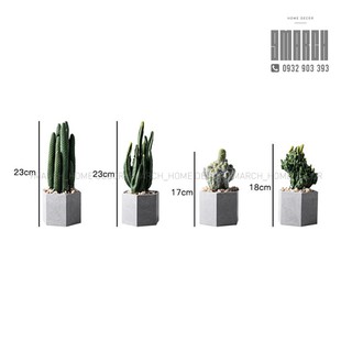 Chậu cây cảnh GREEN PLANTS