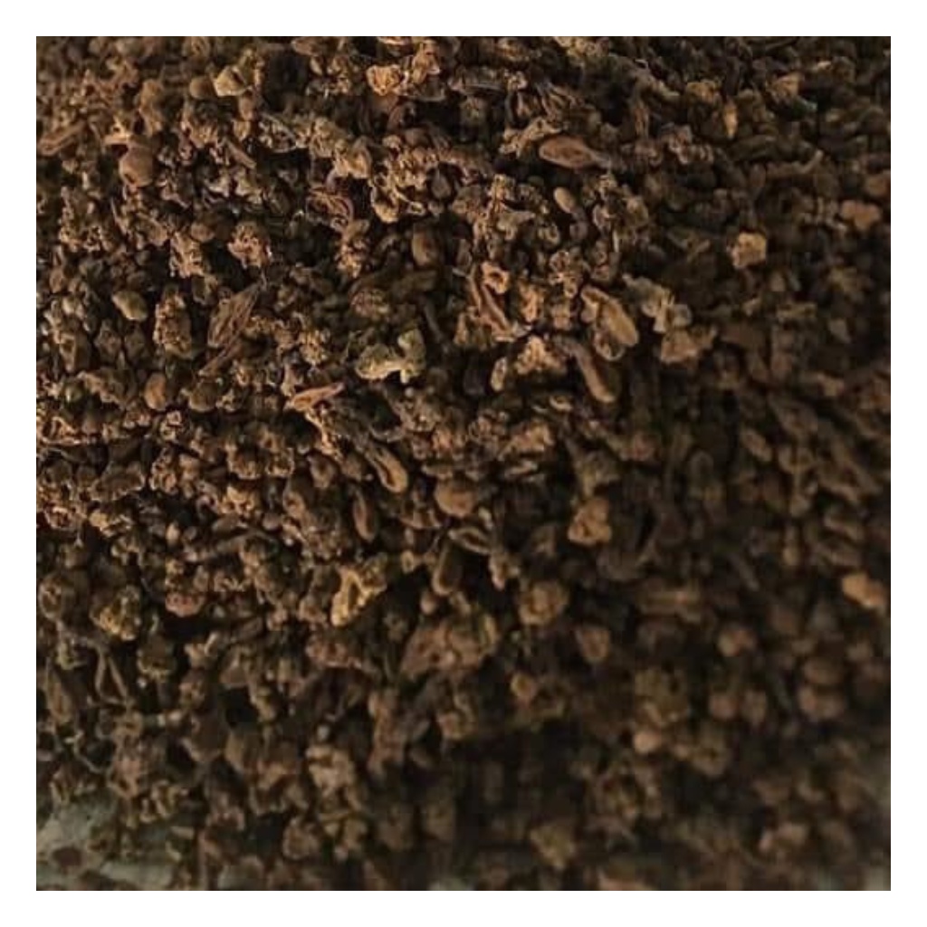 Nấm Ngọc Cẩu ( Nấm Toả Dương ) Khô Loại 1 Nguyên Búp, Khô Thơm Giúp Tăng Cường Sức Khoẻ, Bổ Thận tráng Dương Túi 1Kg | BigBuy360 - bigbuy360.vn