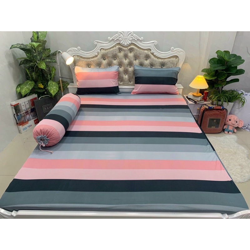 Bộ drap thun hàn quốc 4 món