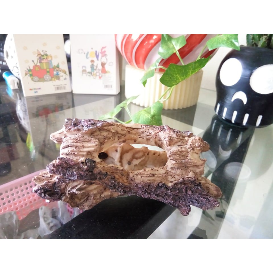 Khúc cây trang trí chữ I cho hồ thuỷ sinh, bò sát