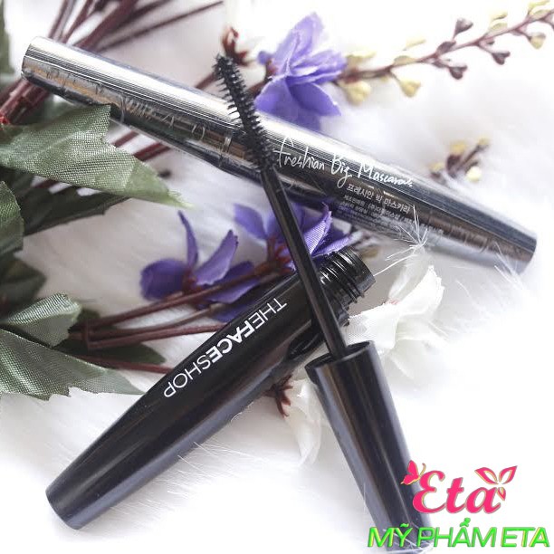 Mascara chuốt mi The Face Shop Freshian Big TFS làm dày và cong mi