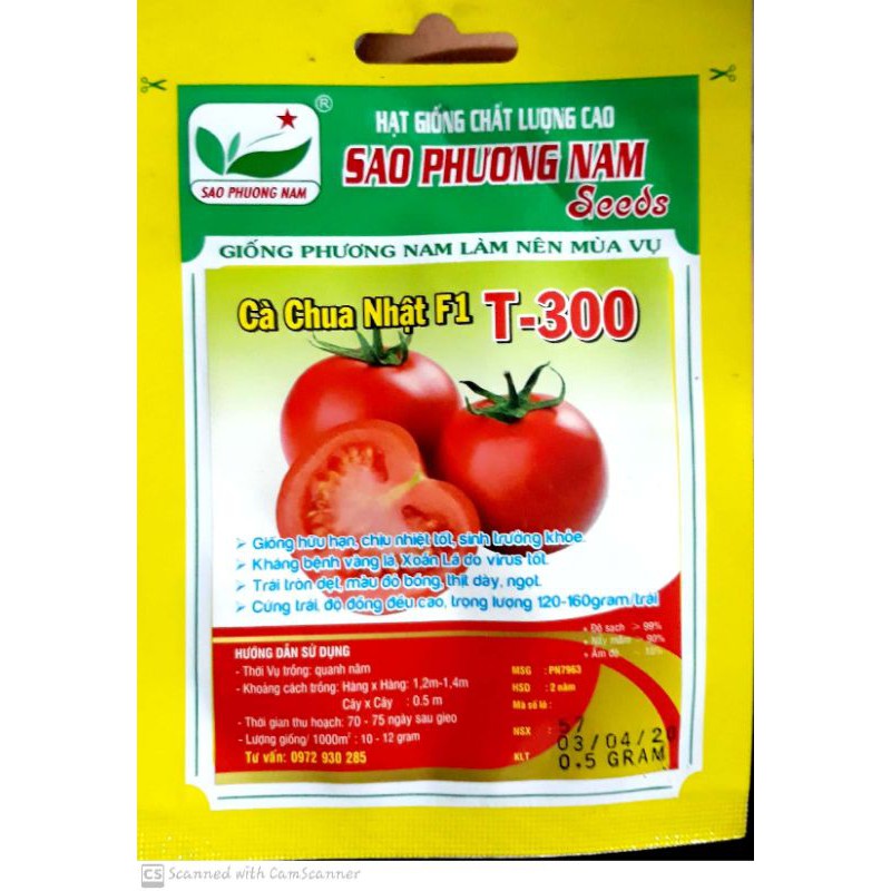 Giống Cà Chua F1 T300