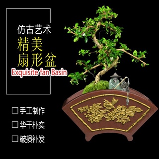 Khuôn rẻ quạt 36 (khuôn chậu ABS có lòng trong)
