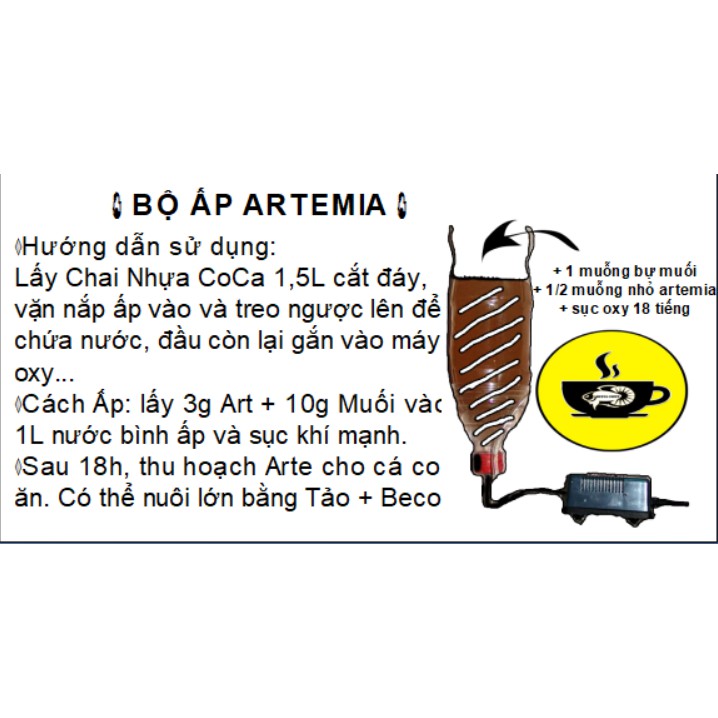 Bộ ấp Artemia 🦐Tặng 2 ống trữ Artemia BETTA COFFY ☕️