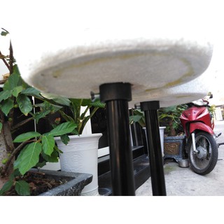 manocanh nhung nữ chân sắt(bảo hành 1 năm)