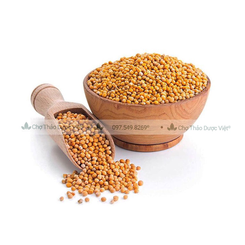Bạch giới tử hữu cơ 500g ( Hạt cải trắng giảm ho, tiêu đàm) - Chợ Thảo Dược Việt