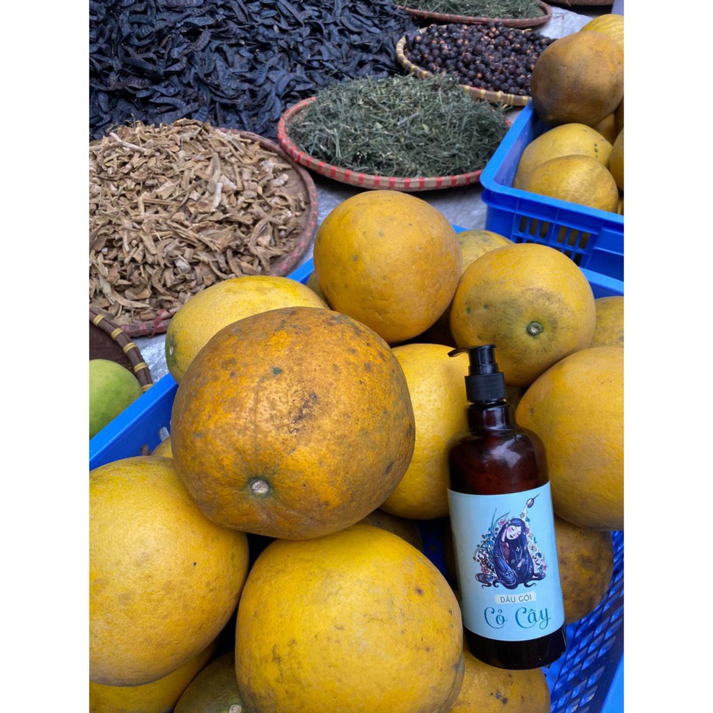 Dầu Gội Cỏ Cây,Dầu Xả Hoa Lá Mộc Nhan hoàn toàn từ thiên nhiên không lo rụng tóc,nuôi dưỡng tóc | BigBuy360 - bigbuy360.vn