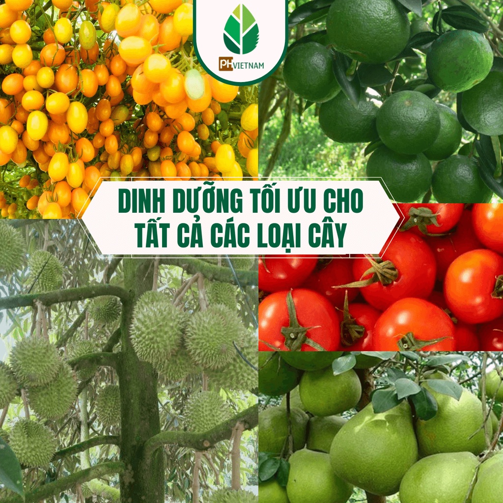 Phân Bón Lớn Trái Hữu Cơ - Trái Lớn Nhanh - Bông To Dài - Trái To Bóng - PH Việt Nam