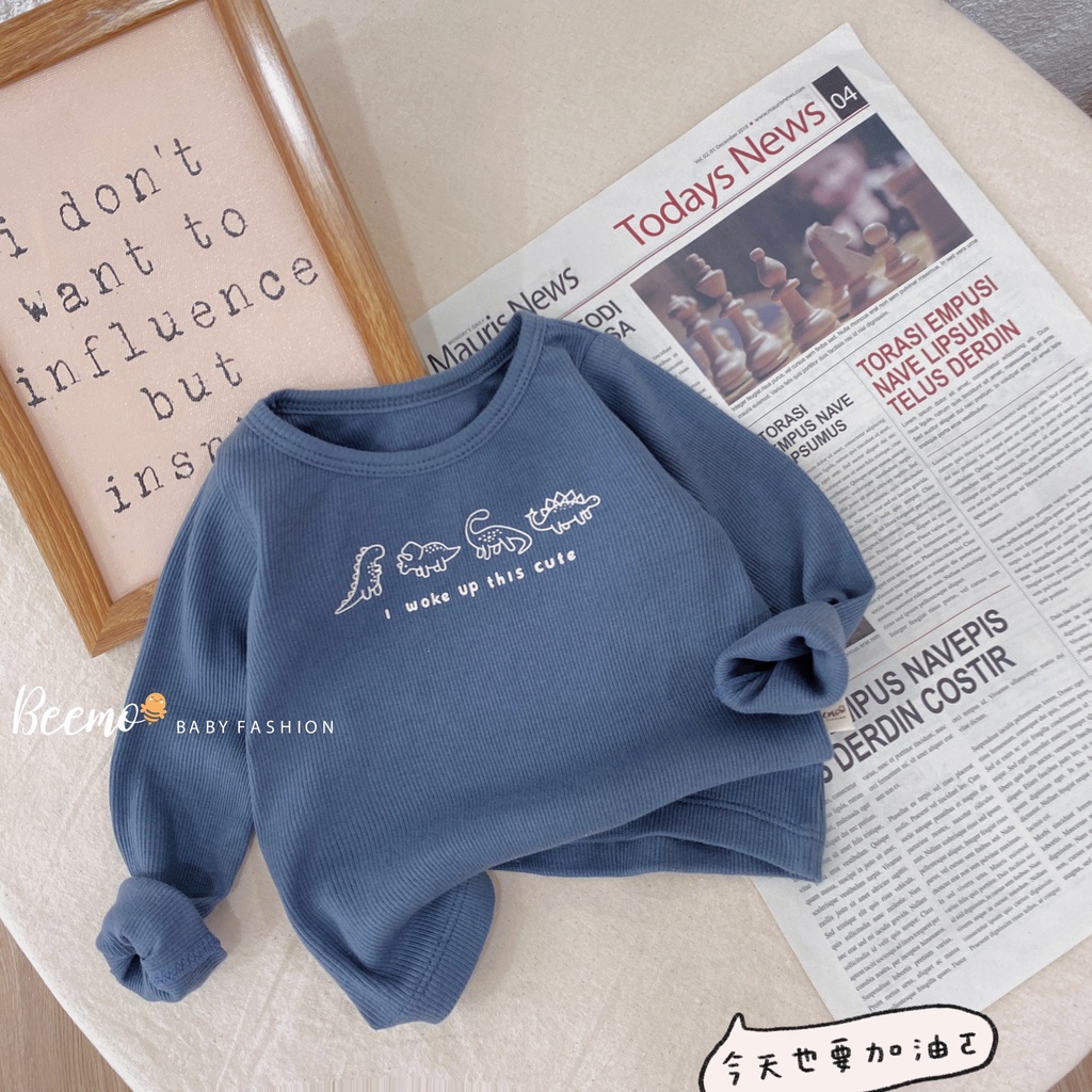 Áo phông bé trai dài tay hoạ tiết khủng long, áo thun len tăm bé trai basic Beemo