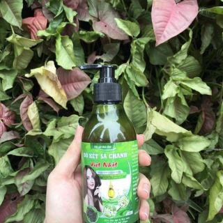 Dầu gội Thảo dược Bồ kết Sả chanh