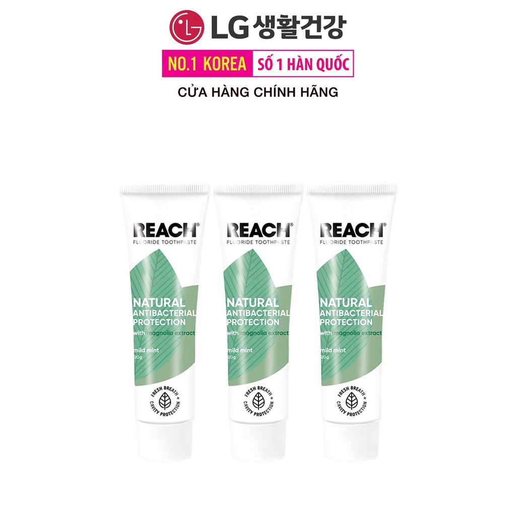 Combo 3 Kem đánh răng kháng khuẩn Reach Flouride Mild Mint Hương Dịu Nhẹ