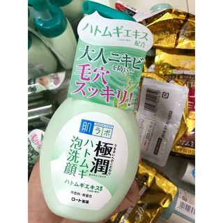 Sữa Rửa Mặt Tạo Bọt Hada Labo Gokujyun