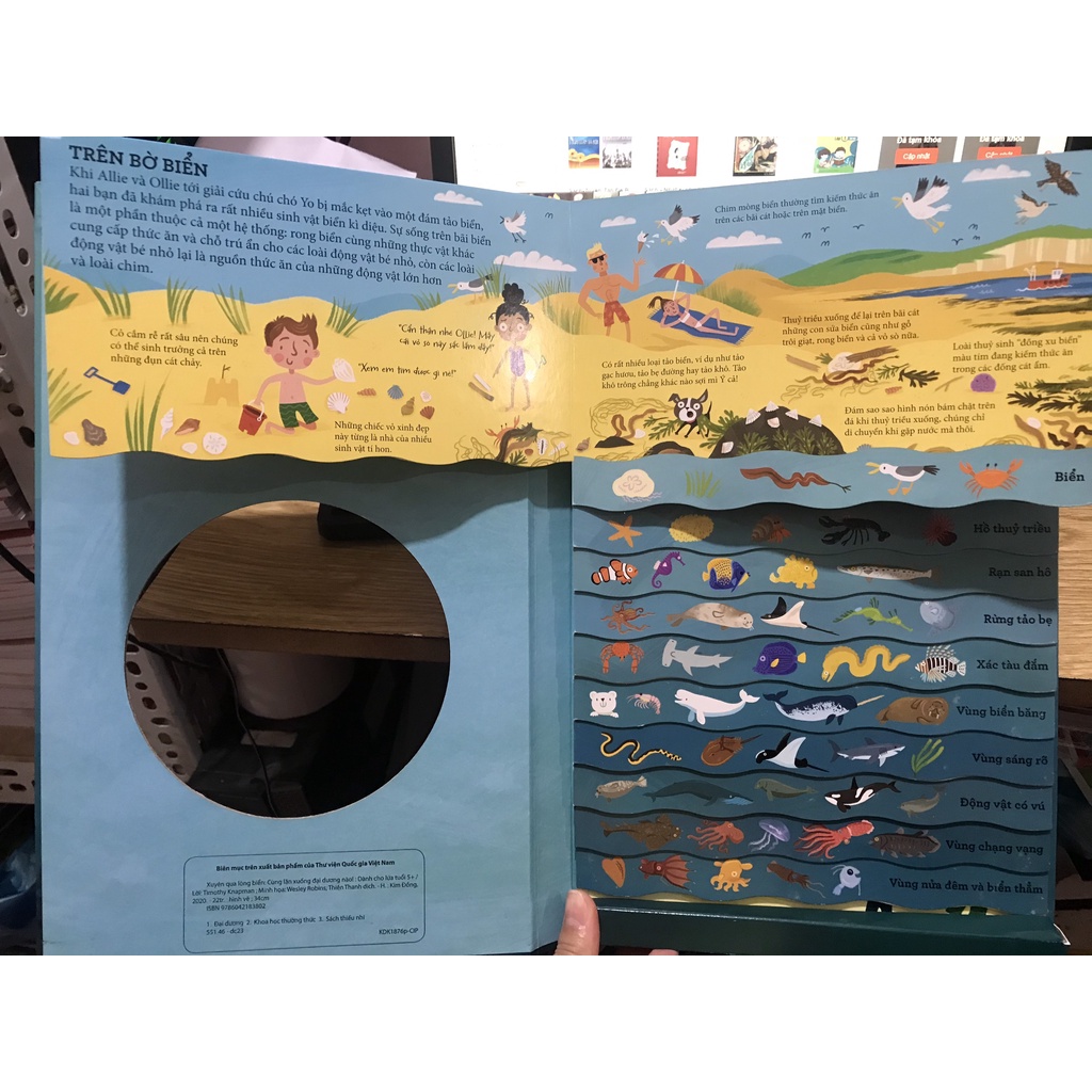 Sách - Xuyên qua lòng biển cùng lặn xuống đại dương nào ( Kim Đồng )