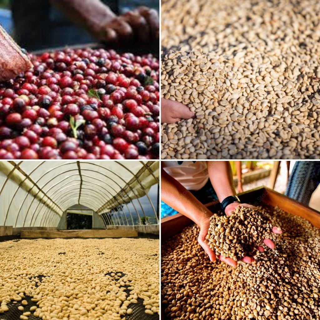 Cà phê pha phin Krông Đăk, Cà phê nguyên chất 100%, Cà phê Robusta Buôn Ma Thuột. | BigBuy360 - bigbuy360.vn