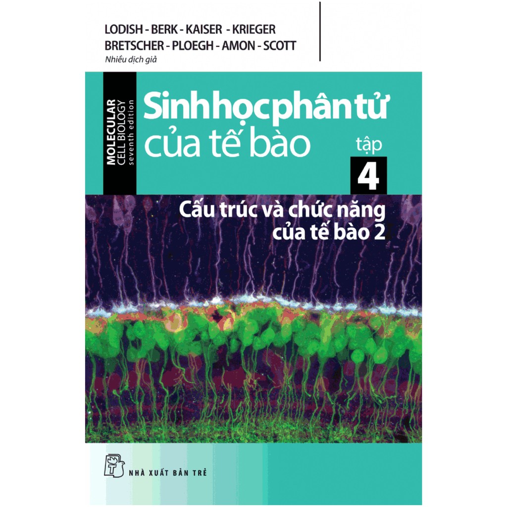 Sách - Sinh Học Phân Tử Của Tế Bào - Tập 4 : Cấu Trúc Và Chức Năng Của Tế Bào 2