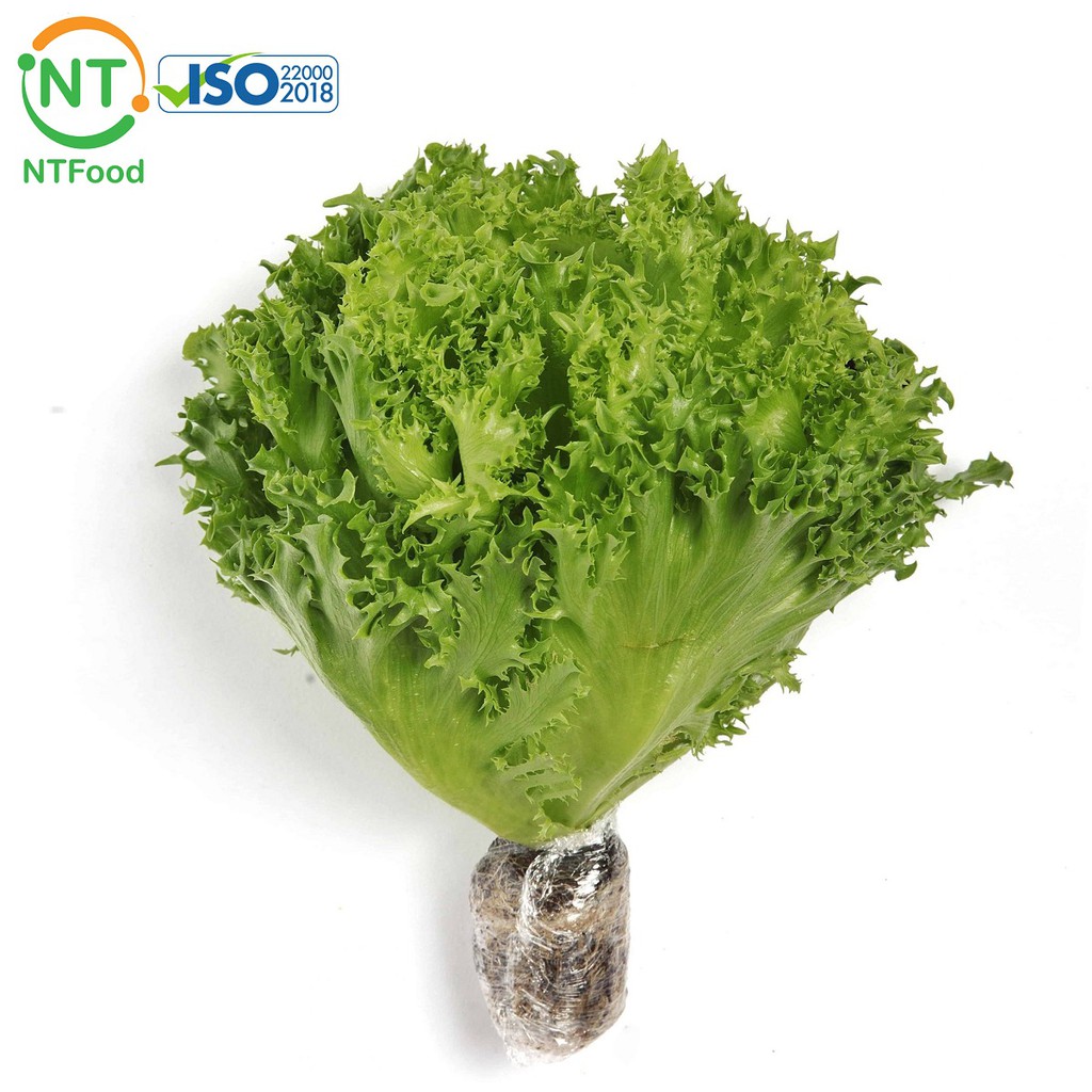[HCM] 1 Búp Xà lách Thủy Tinh thủy canh Đà Lạt - tươi ngon mỗi ngày - Nhất Tín Food