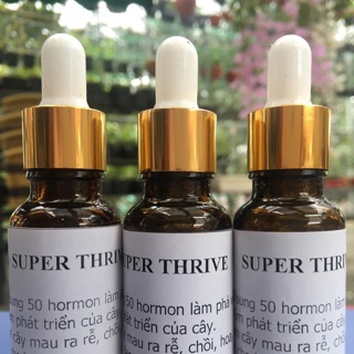 Kích thích sinh trưởng Super thrive 20ml