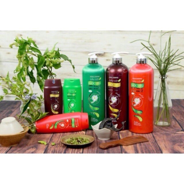 Dầu gội, dầu xã dược liệu Thái Dương 3, Thái Dương 7 - FREESHIP 99k | BigBuy360 - bigbuy360.vn
