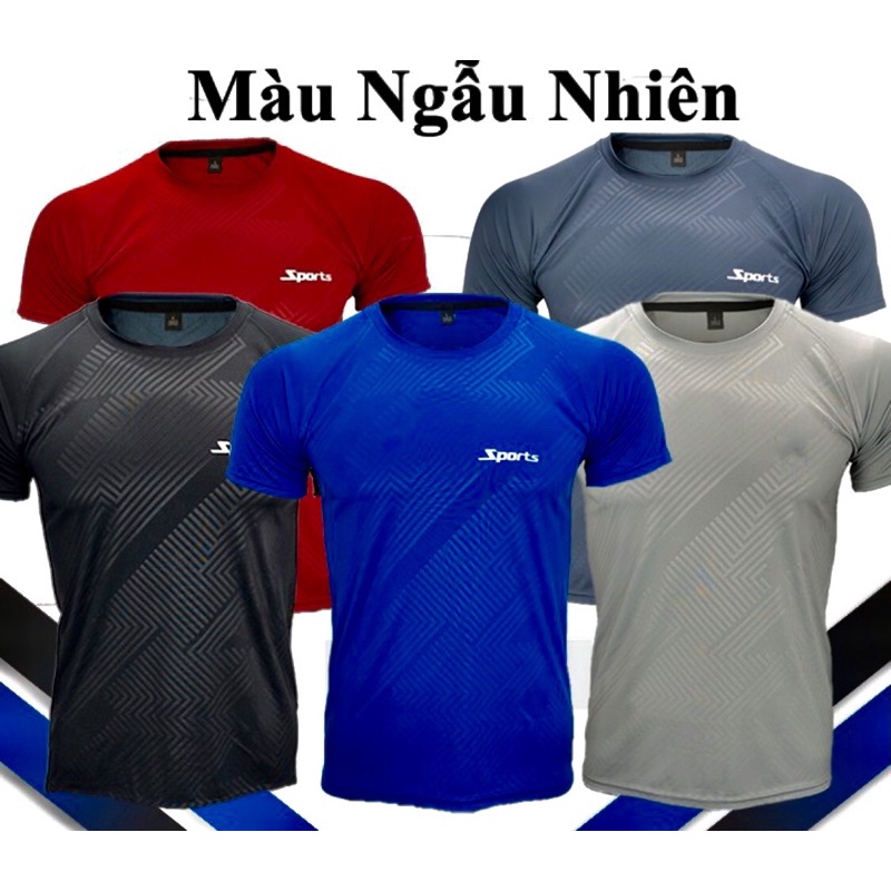 Áo thun thể thao nam poly vải giản nhiều màu ngãu nhiên Hải Triều 077
