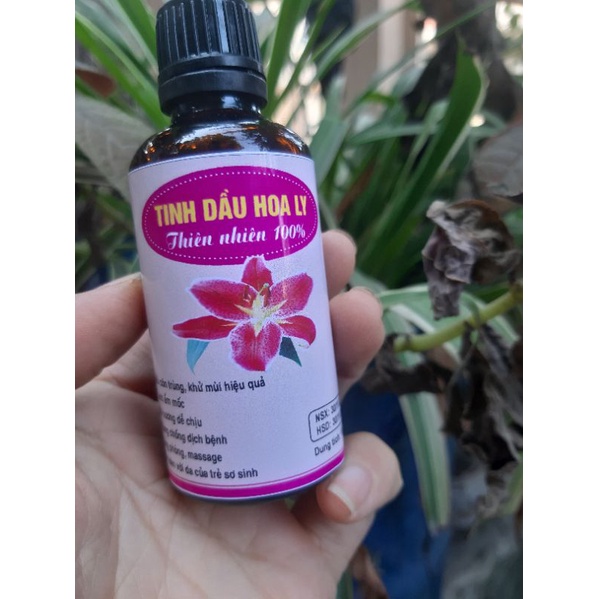 (RẺ VÔ ĐỊCH) Tinh dầu hoa ly, nhài 50ml chuẩn từng giọt xông phòng