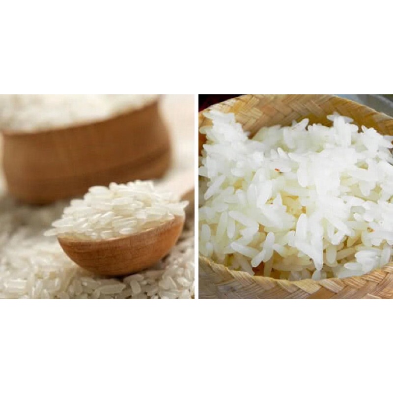 Nêp nương lào 1kg chuẩn loại 1 siêu dẻo, ăn không ngán