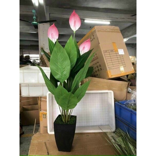cây giả,cây môn cảnh giả,cây trang trí môn 3 bông to