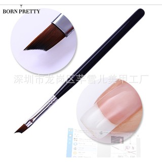 [Sỉ] 10 Cọ phen đầu móng trắng