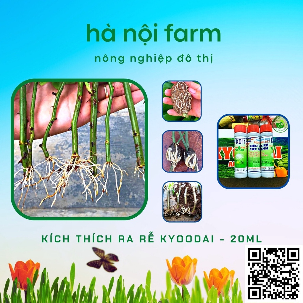 Kích thích ra rễ KYOODAI chuyên dùng cho tất cả các loại cây trồng, cây ăn quả,cây cảnh, - ống 20ml
