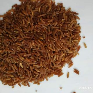 1 kg trà gạo lứt rang