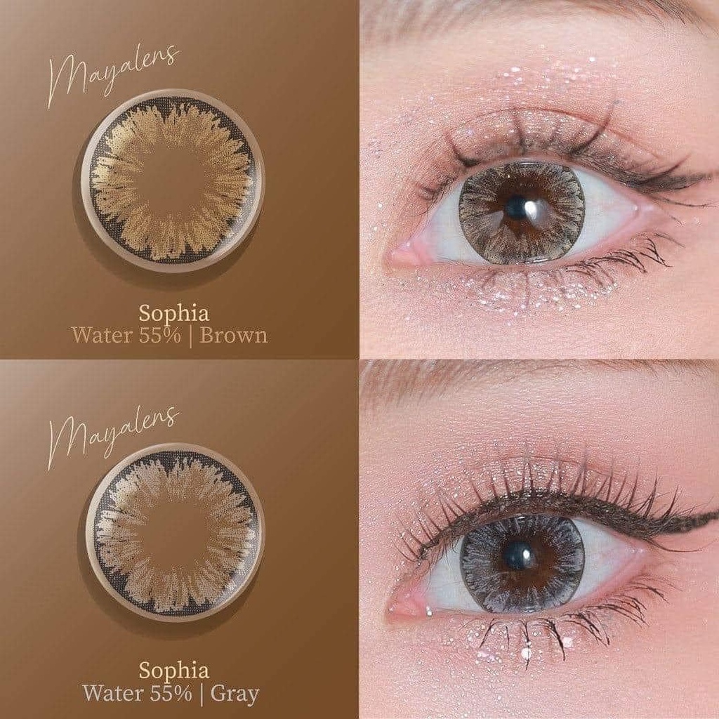 Lens mắt xám tây vân đen Sophia GIÃN TO
